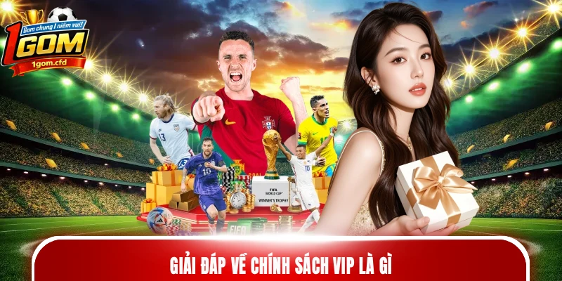 Giải đáp về chính sách VIP là gì