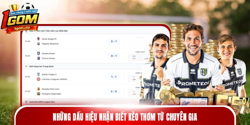 Những dấu hiệu nhận biết kèo thơm từ chuyên gia