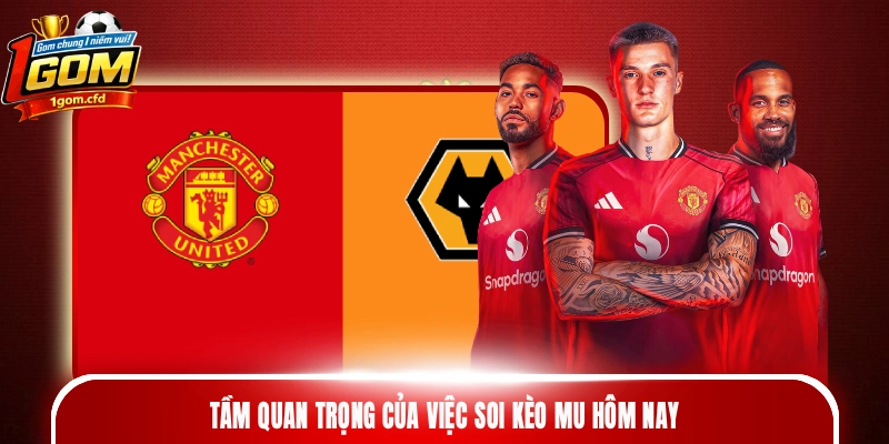 Tầm quan trọng của việc soi kèo MU hôm nay